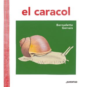 CARACOL, EL - Gervais, Bernadette