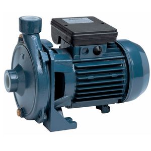 Bomba Centrifuga Gamma Extracción Elevación 3/4 HP CP80