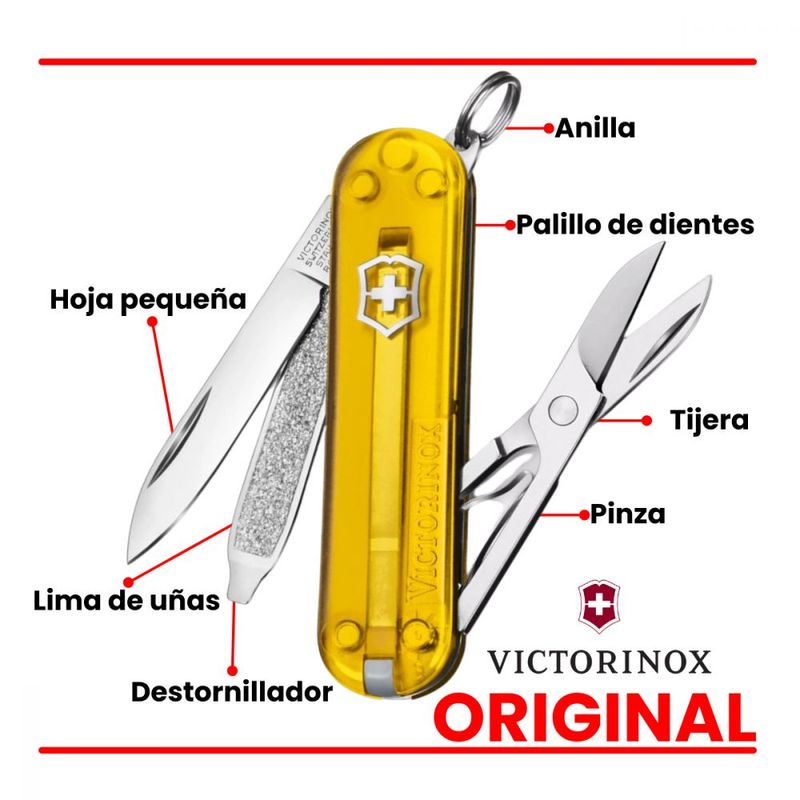 image-8efe38c237d744ee8f8db1c084e87b37