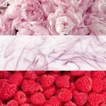 image-b8c0bda2321e4f98bdc283acdd66c726