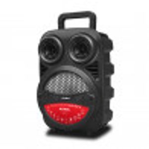 Altavoz Portatil Aiwa AW-P240DSA