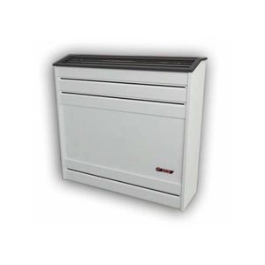 CALEFACTOR CTZ LINEA PESADA 6000 TB
