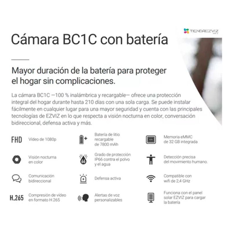 image-d579954c2dd2467da005e606c09e520f