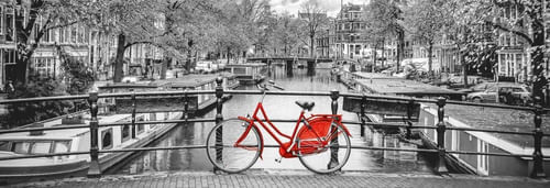 image-3f40537a776b48dea36c8147c22b9232