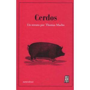 CERDOS - Macho, Thomas