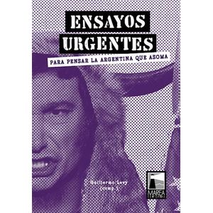 ENSAYOS URGENTES PARA PENSAR LA ARGENTINA QUE ASOMA - Levy, Guillermo
