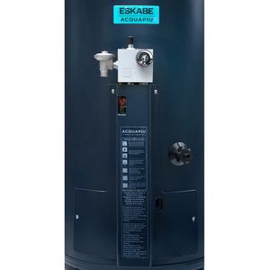 Termotanque a Gas Eskabe 40 Lt H-700 Hybrid4 Conexión Superior