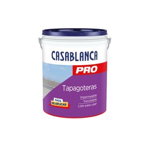 Impermeabilizante tapagoteras Pro incoloro 4 Lts