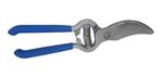 image-edc7732a773c4bd4ba220ce565fa2d87