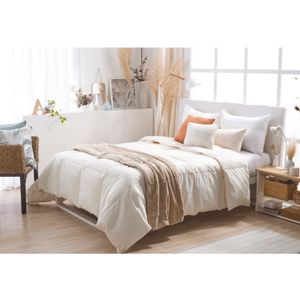Acolchedo Pluma Oro Casablanca Queen Size Ivory