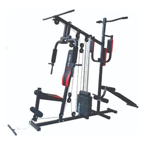 Multigym Olmo Fit 54+ Lingotes + Banco Abdomina Barra Lh