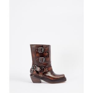 Bota Dalil - GIANNI DI PAOLO