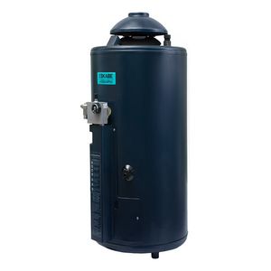 Termotanque a Gas Eskabe 52 Lt H-800 Hybrid4 Conexión Superior