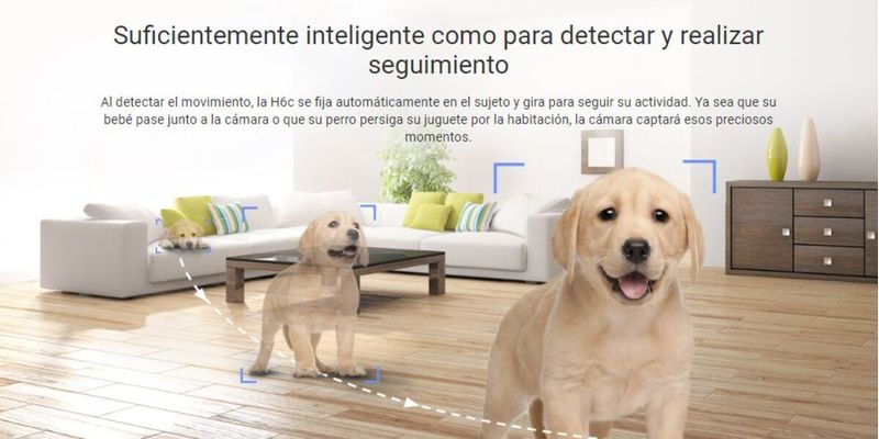 image-6fe8d154d4344091810195d71ae04de5