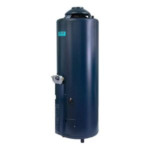 Termotanque a Gas Eskabe 76 Lt H-1100 Hybrid4 Conexión Superior