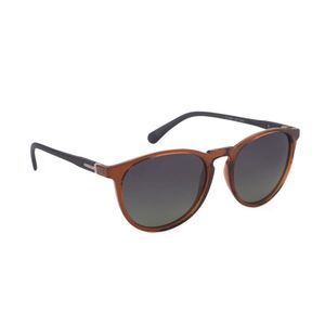 Lentes Rusty Ardigan D.Brown-Mblk/Drt04.