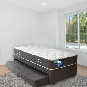 Diván Classic Rest Superior Con Colchón Bonell 100cmx200cmx66cm