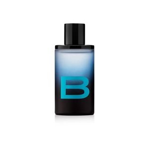 Brave EDP