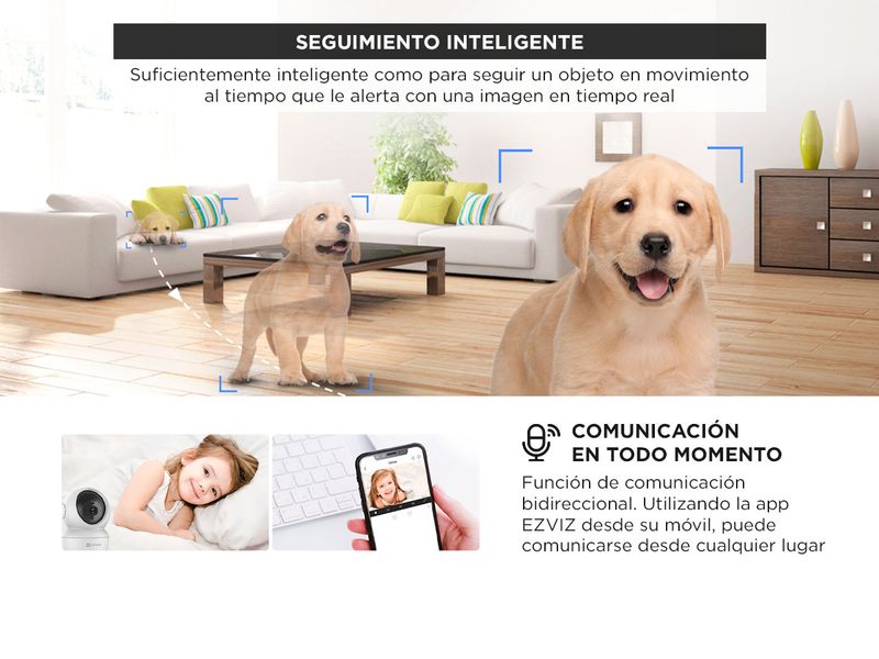 image-cfbf44165efa42ddade60f5eaeaf8a7d