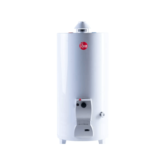Termotanque RHEEM 80 Litros Blanco TPG080GNRH Multigas Functional Superior pie