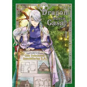 DRAGON BUSCA CASA VOL 4 - Tanuki, Kawo