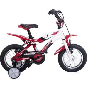 Bicicleta Raleigh Mxr R12
