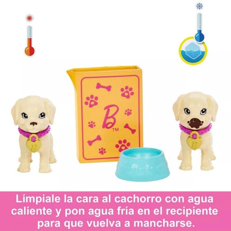 image-3d24059883154c4cab3f9cb9cf9b5558