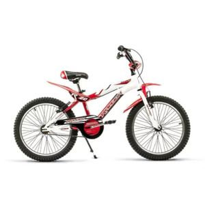 BICICLETA RALEIGH R20 MXR20
