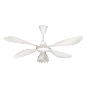 Ventilador de Techo Axel Con Una Luz Palas De Chapa