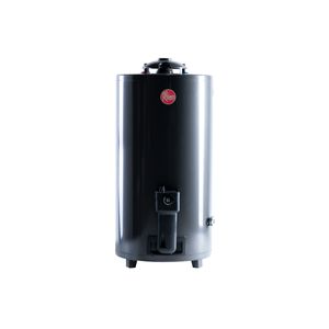 Termotanque a Gas Rheem 80 L Conexión Superior