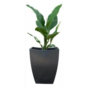 Maceta Decorativa Rotomoldeado Plástica Grande Olimpia
