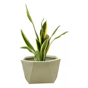 Maceta Decorativa Rotomoldeado Plástica Grande Atenas