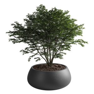 Maceta rotomoldeada batea N70. Comodohome