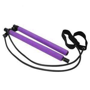 Barra De Traccion Gadnic Para Yoga Pilates