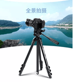 image-53347aff098e4b55a795dd41cd59b92e