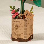 image-d2cdce5758bd4d8ab0a4c5e6c7219a02