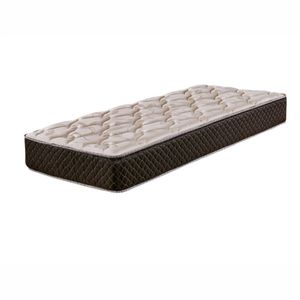 Colchon Cannon Exclusive 25 cm Espuma Alta Densidad