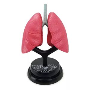 Eastcolight Sistema Respiratorio Modelo Profesional 35005