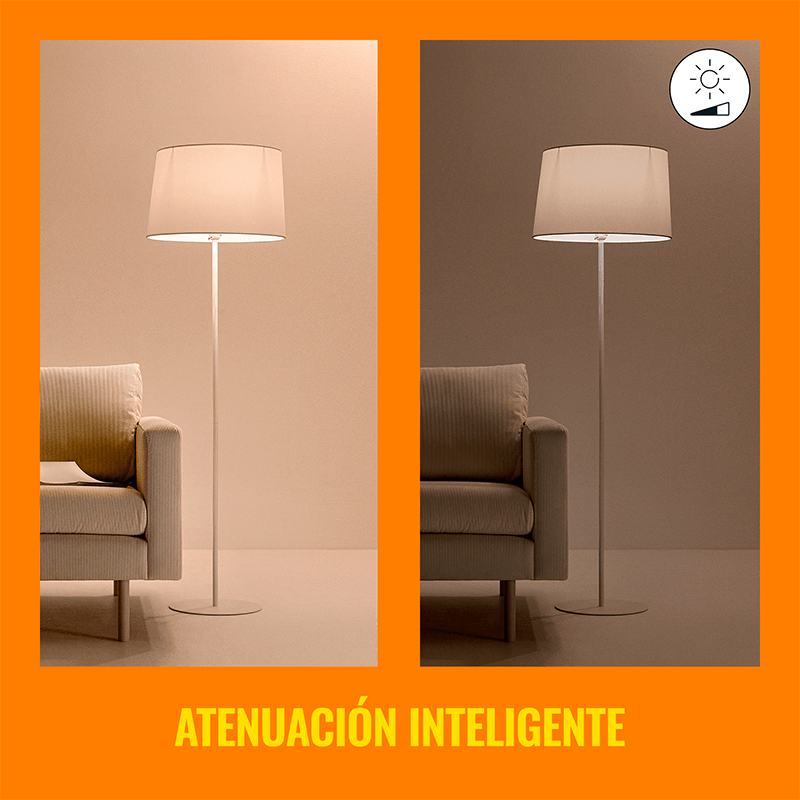 image-be0c72e2e48a43a09357b191ab93591a