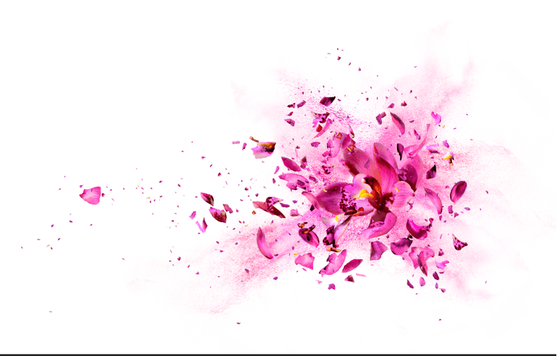 image-cc8d8f4da59441b2bd55e31e5e962a61