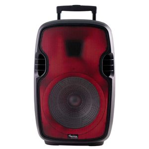Parlante Harrison Acid Max 2