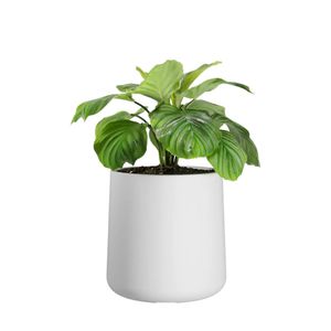 Maceta rotomoldeada gota N40.  Comodohome