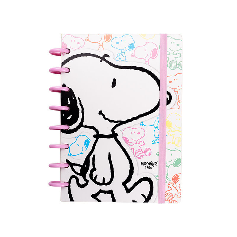 image-b1da5fb6b6c64f4c90171de31ce5b2ad