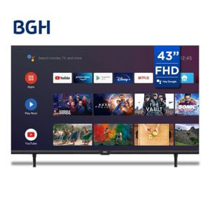 TV 43 BGH 4322FS5A