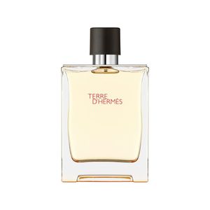 Hermes Terre Dhermes Edt 200 Vap