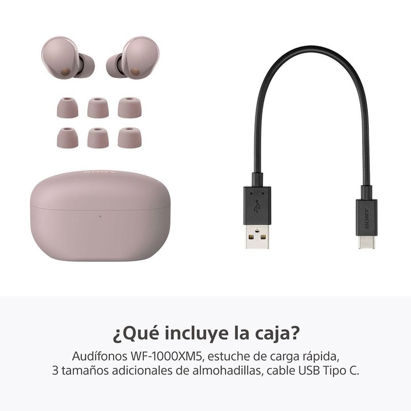 image-b827da1f285a48bebcd55172d89c6dbd