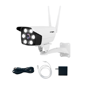 Camara de Seguridad Wifi Exterior Full HD Vision Nocturna Waggs