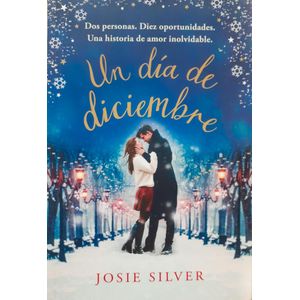 UN DIA DE DICIEMBRE - Silver, Josie