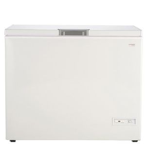 Freezer Patrick FHP300B Dual 300Lts