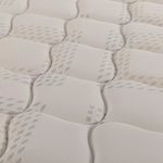 image-6496d58885ce468cad42a745f50e67fa